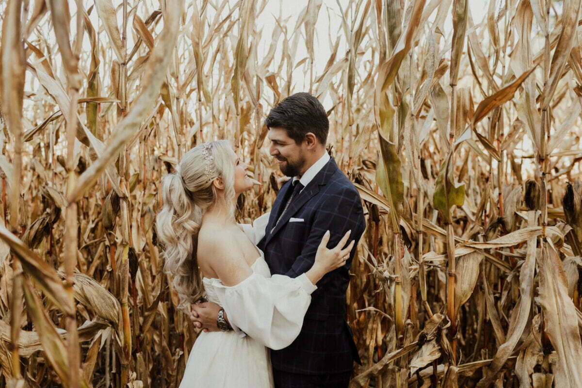 plener ślubny w kukurydzy