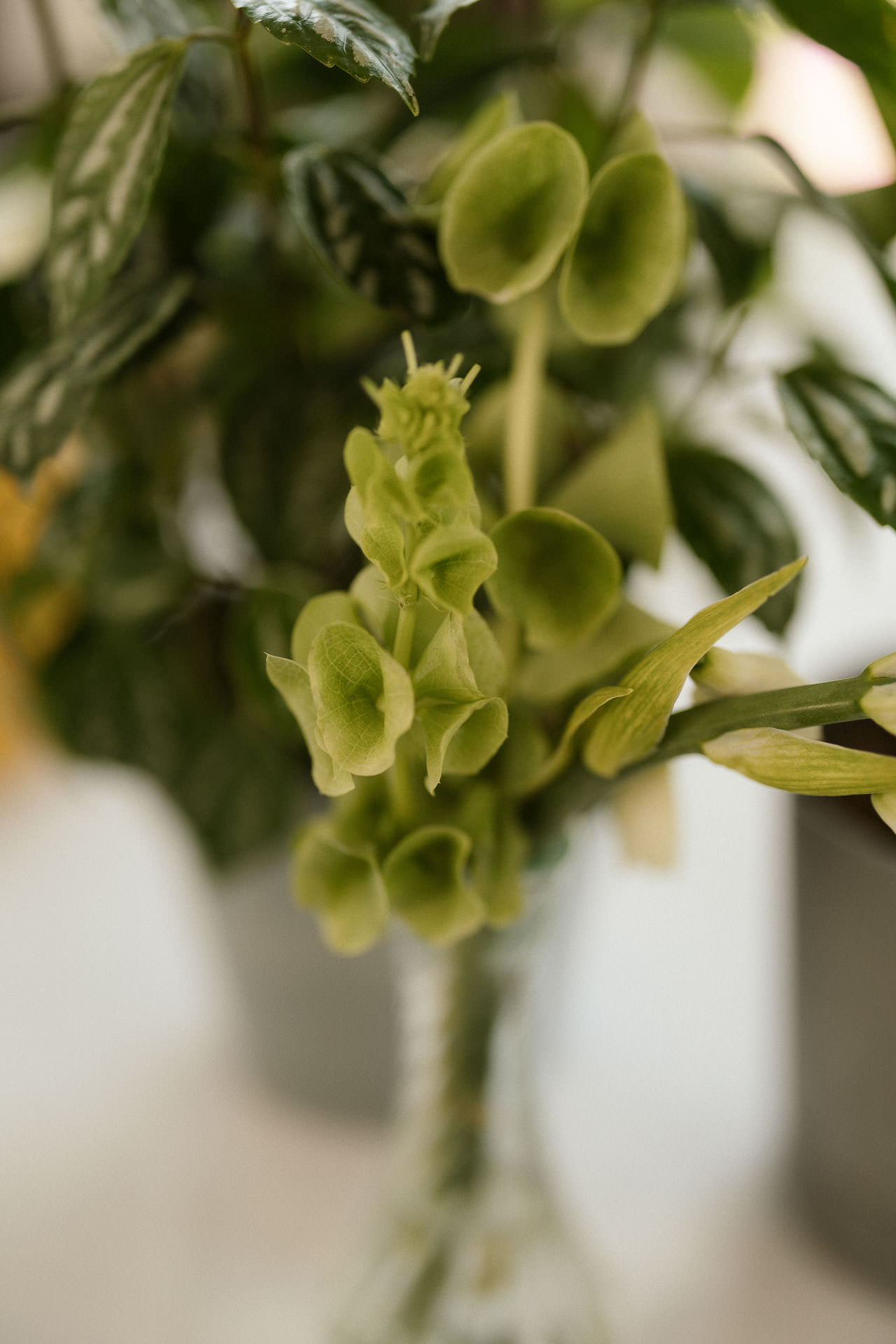 0043 zdjecia slubne pod tarnowem dwor bistuszowa